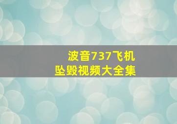 波音737飞机坠毁视频大全集