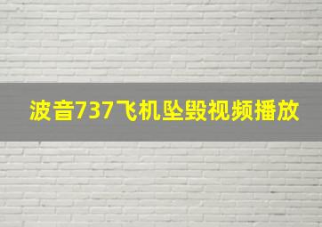 波音737飞机坠毁视频播放