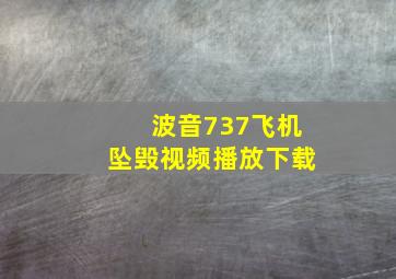 波音737飞机坠毁视频播放下载