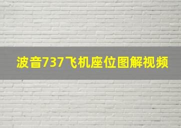 波音737飞机座位图解视频