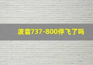 波音737-800停飞了吗