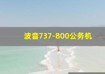 波音737-800公务机