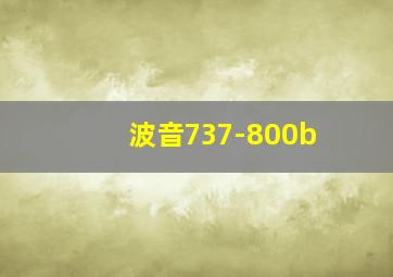 波音737-800b