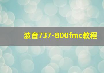 波音737-800fmc教程