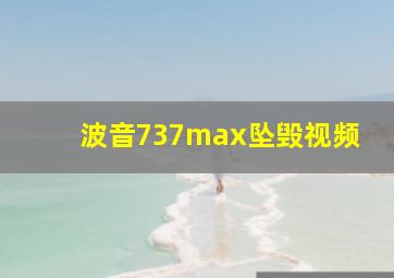 波音737max坠毁视频