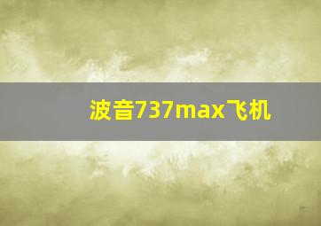 波音737max飞机