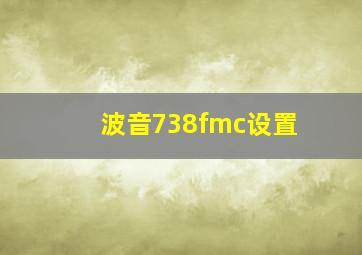 波音738fmc设置