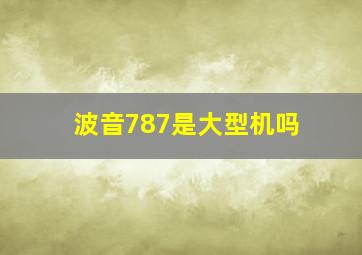 波音787是大型机吗