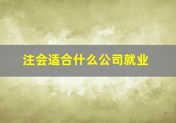 注会适合什么公司就业