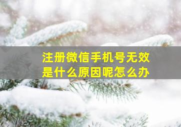 注册微信手机号无效是什么原因呢怎么办