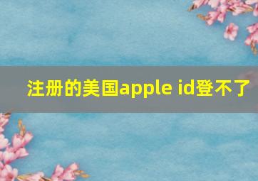 注册的美国apple id登不了