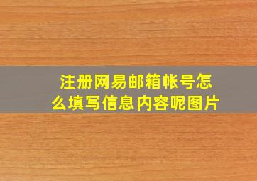 注册网易邮箱帐号怎么填写信息内容呢图片