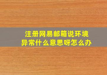 注册网易邮箱说环境异常什么意思呀怎么办