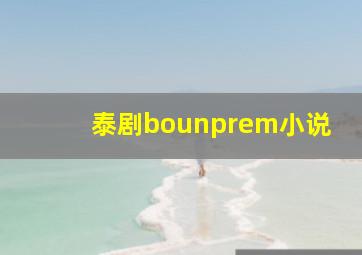 泰剧bounprem小说