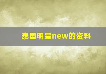 泰国明星new的资料