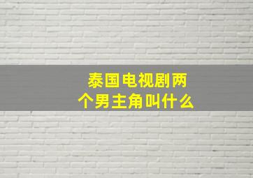 泰国电视剧两个男主角叫什么