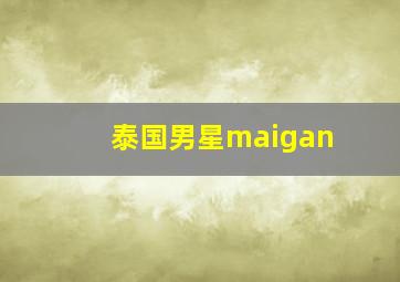 泰国男星maigan