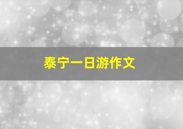 泰宁一日游作文