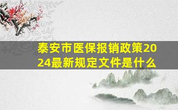 泰安市医保报销政策2024最新规定文件是什么