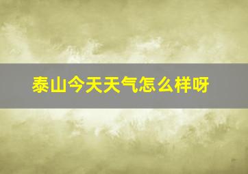 泰山今天天气怎么样呀