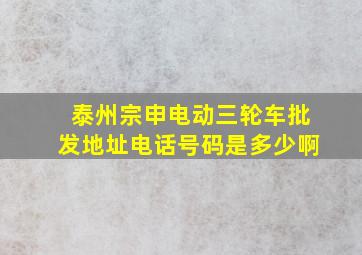 泰州宗申电动三轮车批发地址电话号码是多少啊