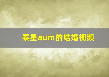 泰星aum的结婚视频