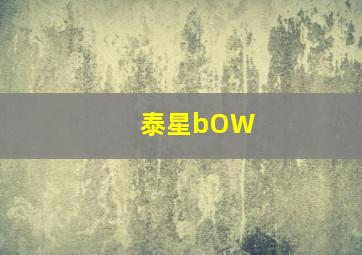 泰星bOW