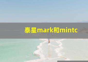 泰星mark和mintc