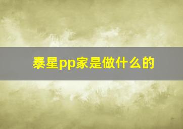 泰星pp家是做什么的