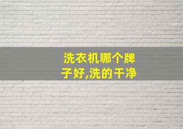 洗衣机哪个牌子好,洗的干净