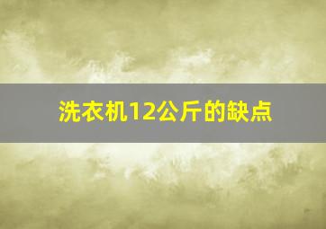 洗衣机12公斤的缺点