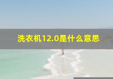 洗衣机12.0是什么意思