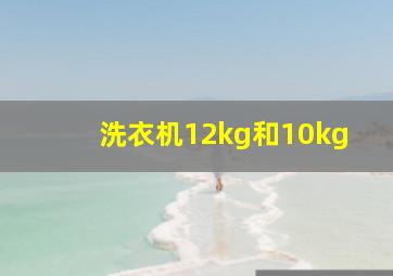 洗衣机12kg和10kg