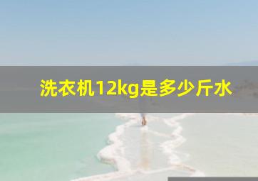 洗衣机12kg是多少斤水