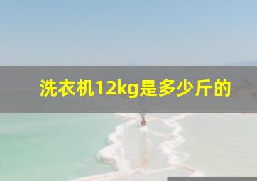 洗衣机12kg是多少斤的