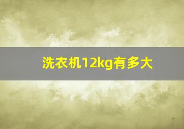 洗衣机12kg有多大