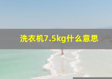 洗衣机7.5kg什么意思