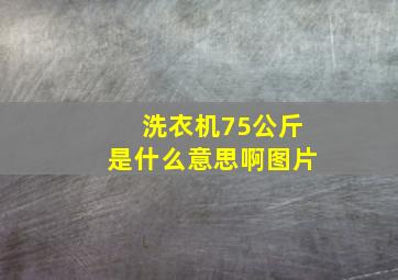 洗衣机75公斤是什么意思啊图片