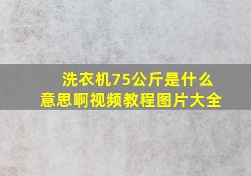 洗衣机75公斤是什么意思啊视频教程图片大全