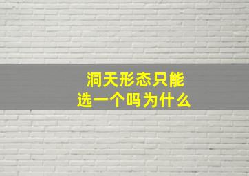 洞天形态只能选一个吗为什么