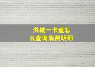 洪城一卡通怎么查询消费明细