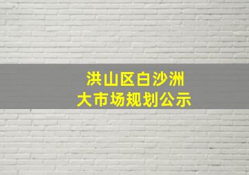 洪山区白沙洲大市场规划公示