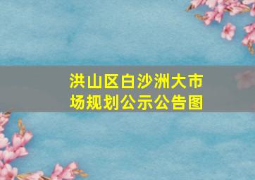 洪山区白沙洲大市场规划公示公告图