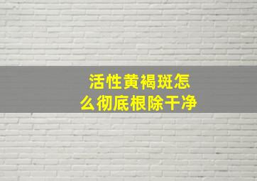 活性黄褐斑怎么彻底根除干净