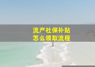 流产社保补贴怎么领取流程