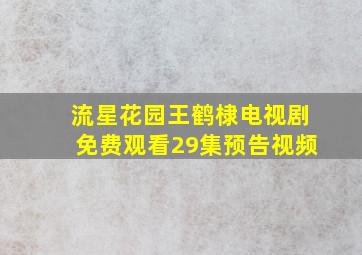 流星花园王鹤棣电视剧免费观看29集预告视频