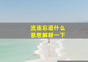 流连忘返什么意思解释一下