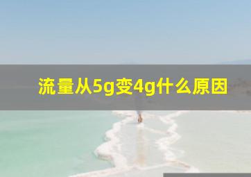 流量从5g变4g什么原因