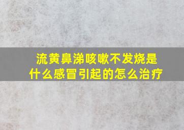 流黄鼻涕咳嗽不发烧是什么感冒引起的怎么治疗