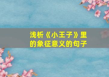 浅析《小王子》里的象征意义的句子